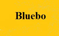 bluebo logo 1 1